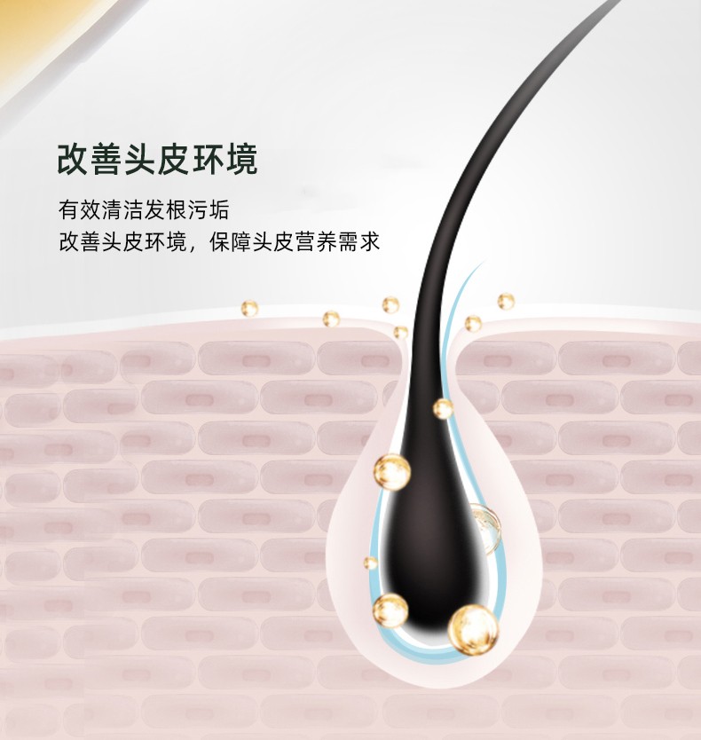 改善頭皮環(huán)境   有效清潔發(fā)根污垢   改善頭皮環(huán)境，保障頭皮營養(yǎng)需求